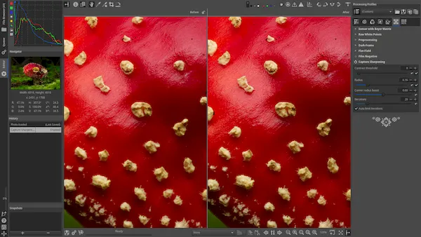 Como instalar o editor de imagens RAW RawTherapee no Linux via Flatpak