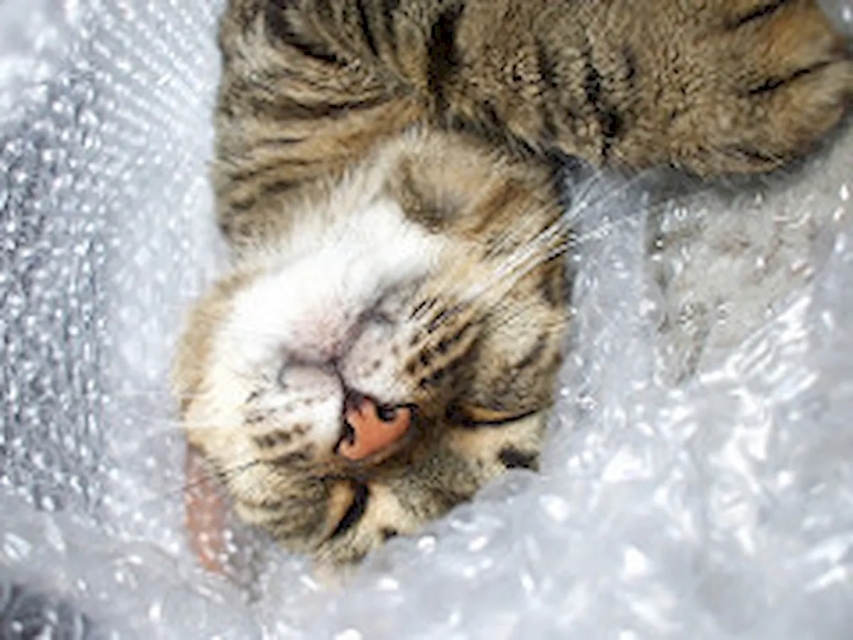 Bubblewrap 0.6 lançado com suporte para Meson e mais