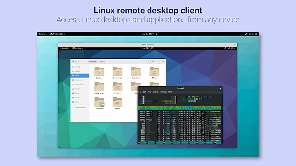 Como instalar o ThinLinc Client no Linux via Flatpak