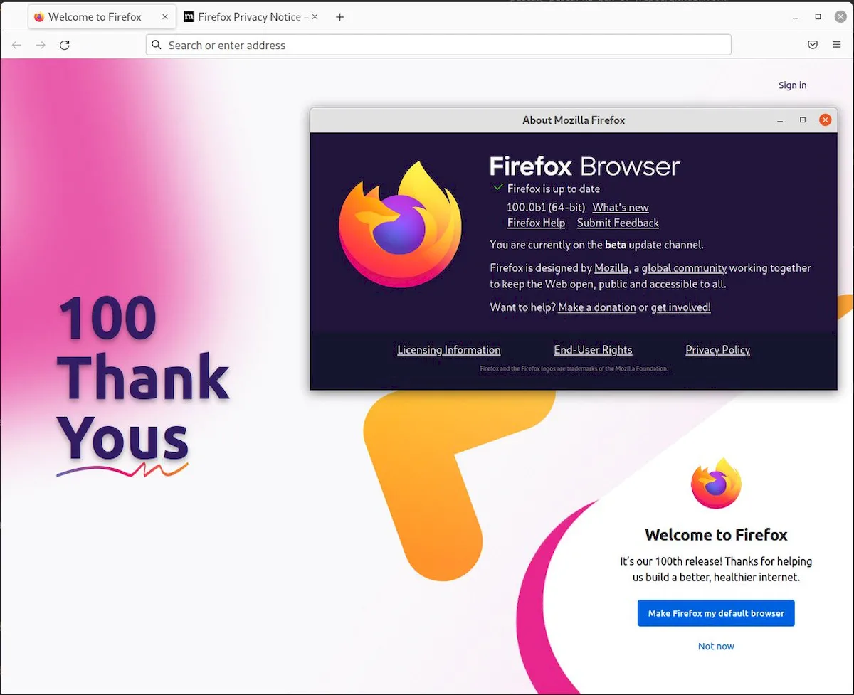 Firefox 100 beta lançado com opção para melhorar a aparência dos sites