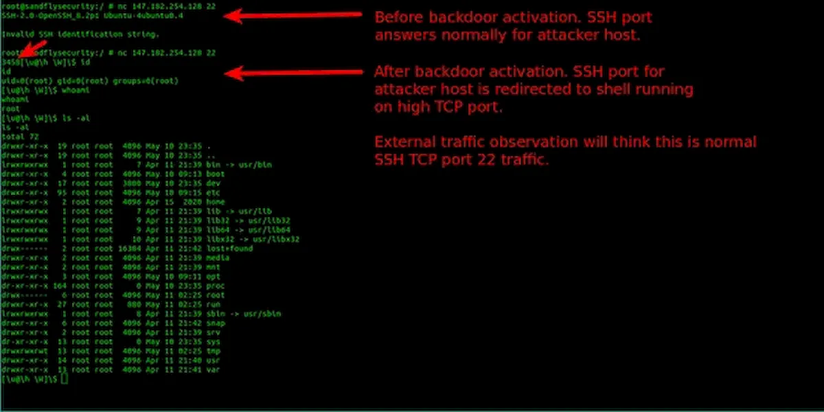 BPFdoor, um malware que ataca o Linux e o Solaris sem ser detectado