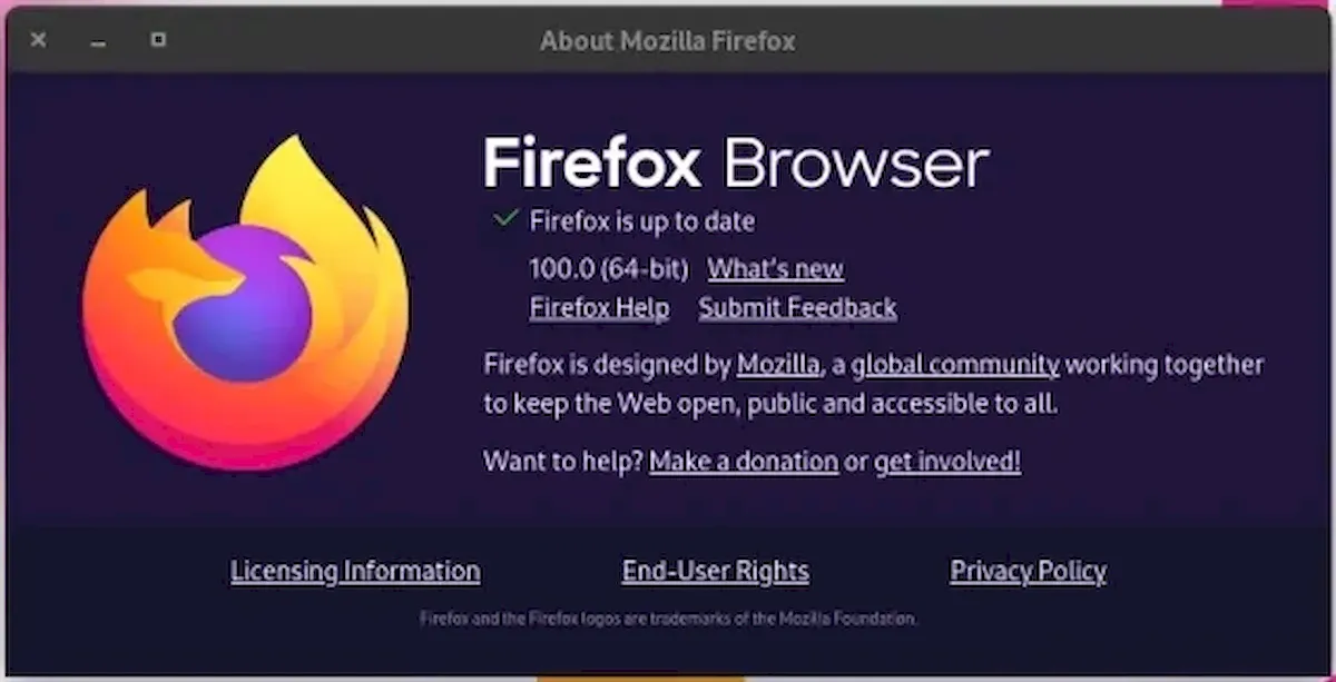 Firefox 100 já está disponível para download