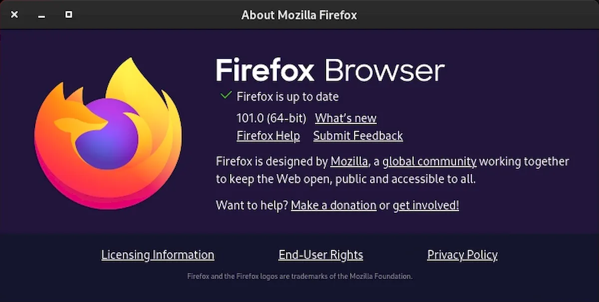 Firefox 101 já está disponível para download
