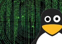 Malware Linux XorDDoS teve um aumento maciço de atividade