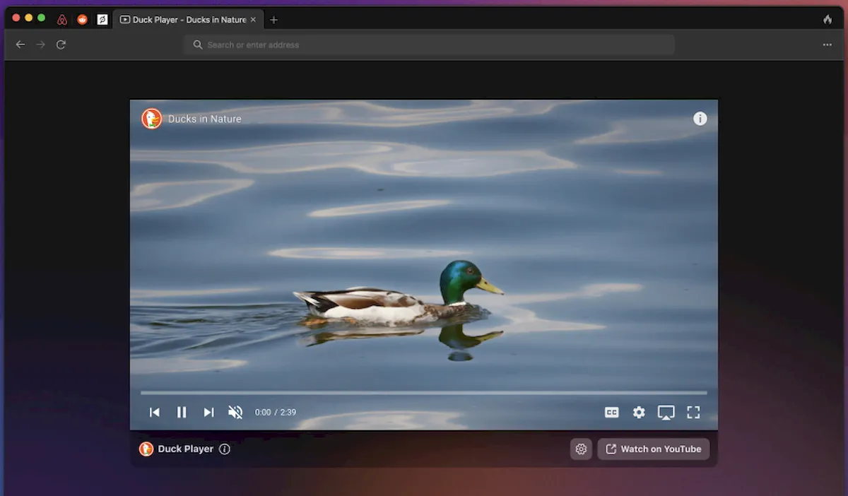 DuckDuckGo para Mac entrou na fase beta de desenvolvimento