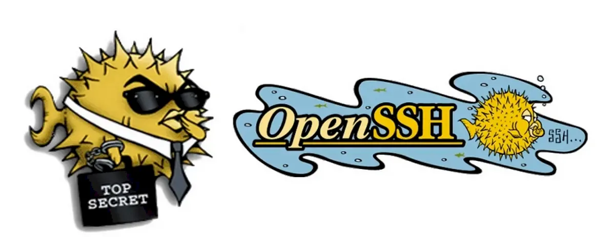 OpenSSH 9.1 lançado com correções de bugs, e muito mais 2 OpenSSH 9.1 lançado com correções de bugs, e muito mais