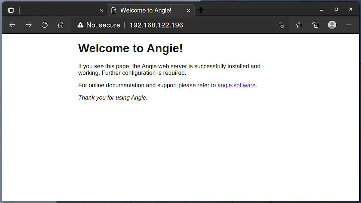 Angie, o novo fork do servidor web NGINX