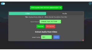 Como instalar o Youtube Downloader Plus no Linux via Flatpak