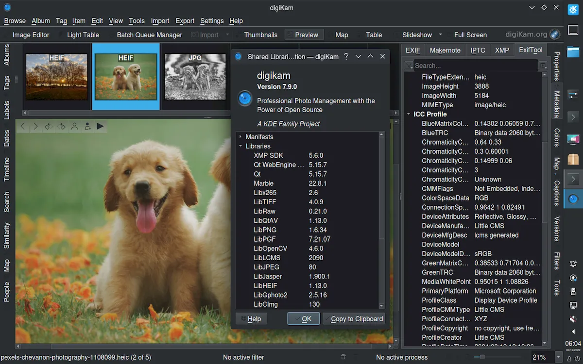 digiKam 7.9 lançado com melhorias de estabilidade, e mais
