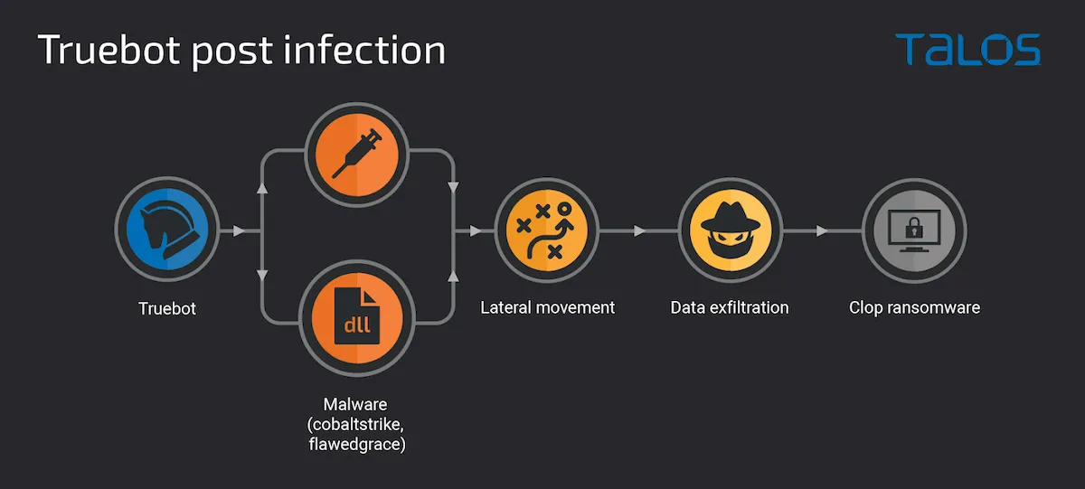 Atividade pós-infecção que leva à implantação do Clop