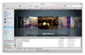 Como instalar o gerenciador de arquivos DFileManager no Linux via AppImage