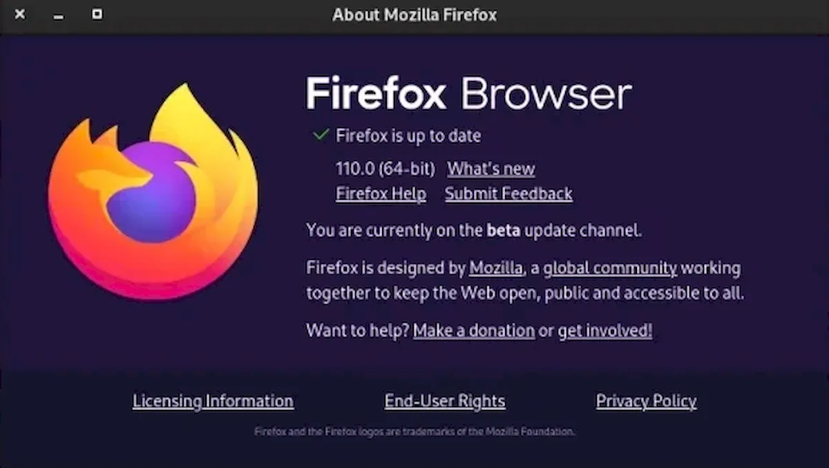 Firefox 110 já está disponível para download
