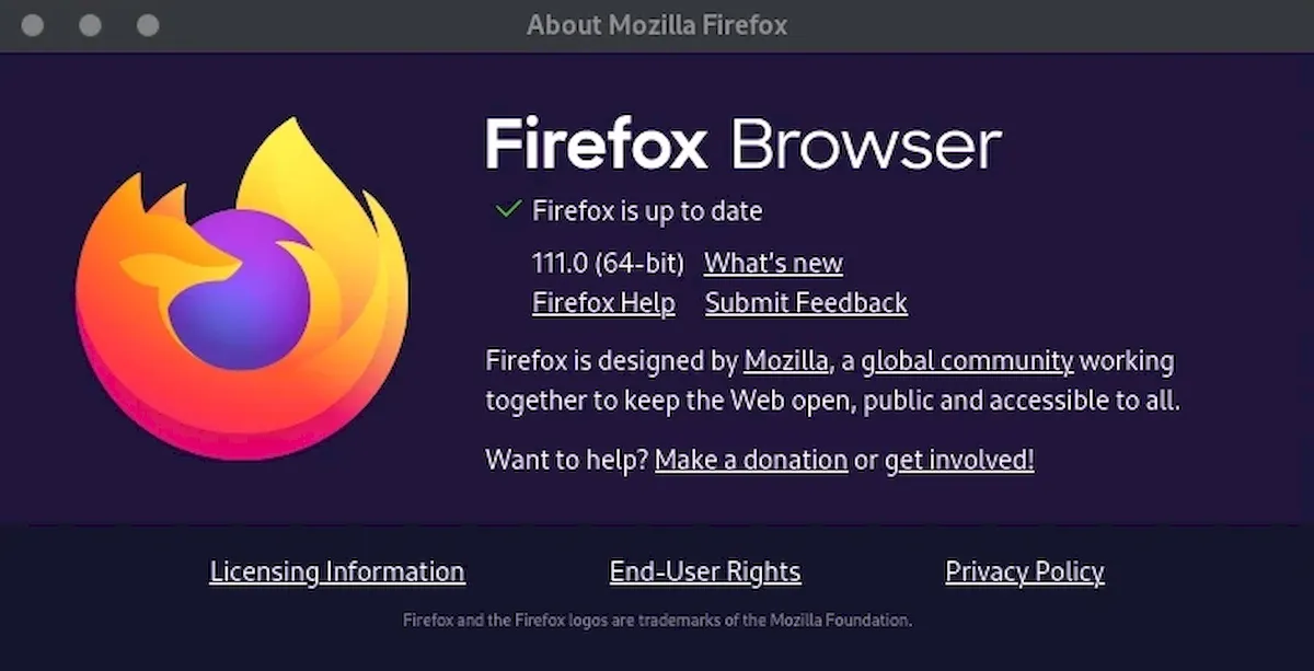 Firefox 111 já está disponível para download