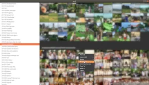 Como instalar o navegador de mídia pwall no Linux via Flatpak