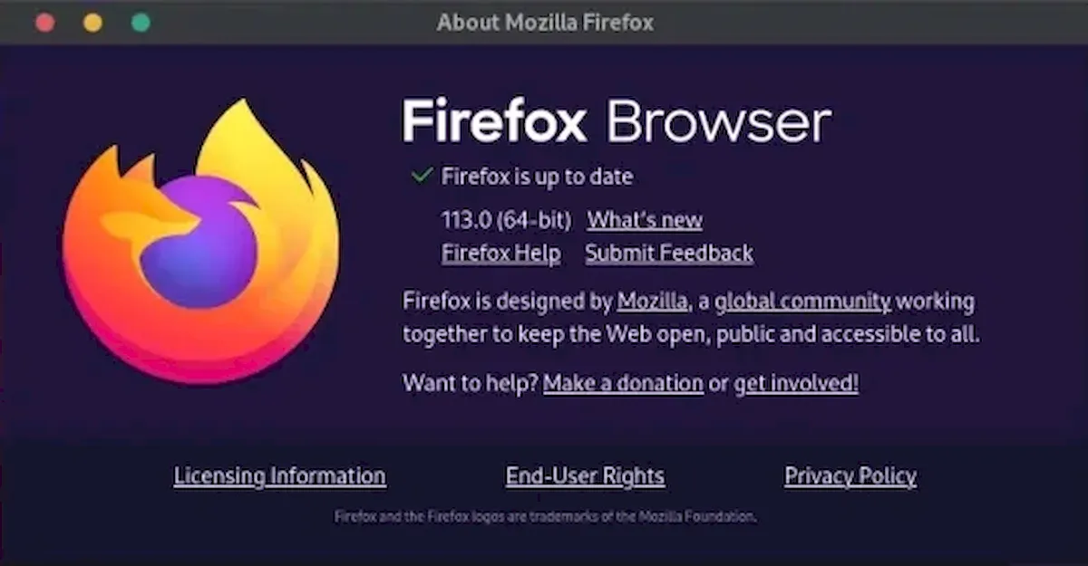 Mozilla Firefox 113 já está disponível para download