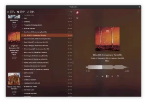 Como instalar o Tambourine Music Player no Linux via Flatpak