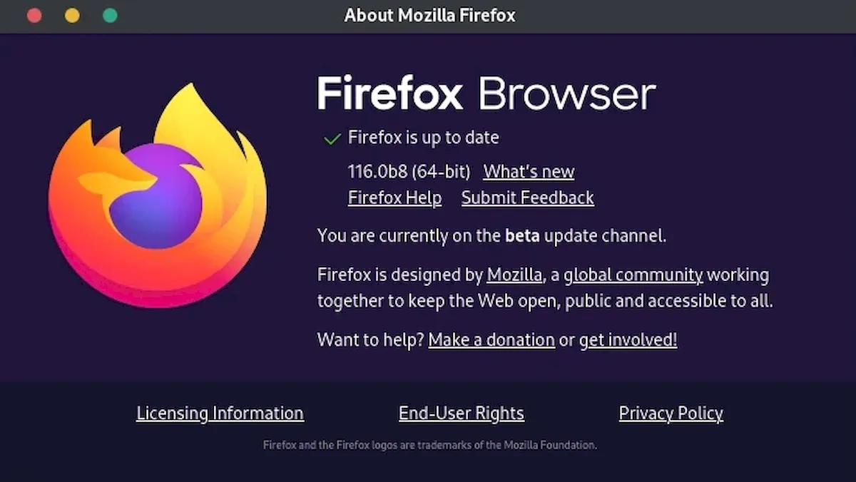 Firefox 116 terá reprodução de vídeo acelerada por HW para RPi 4