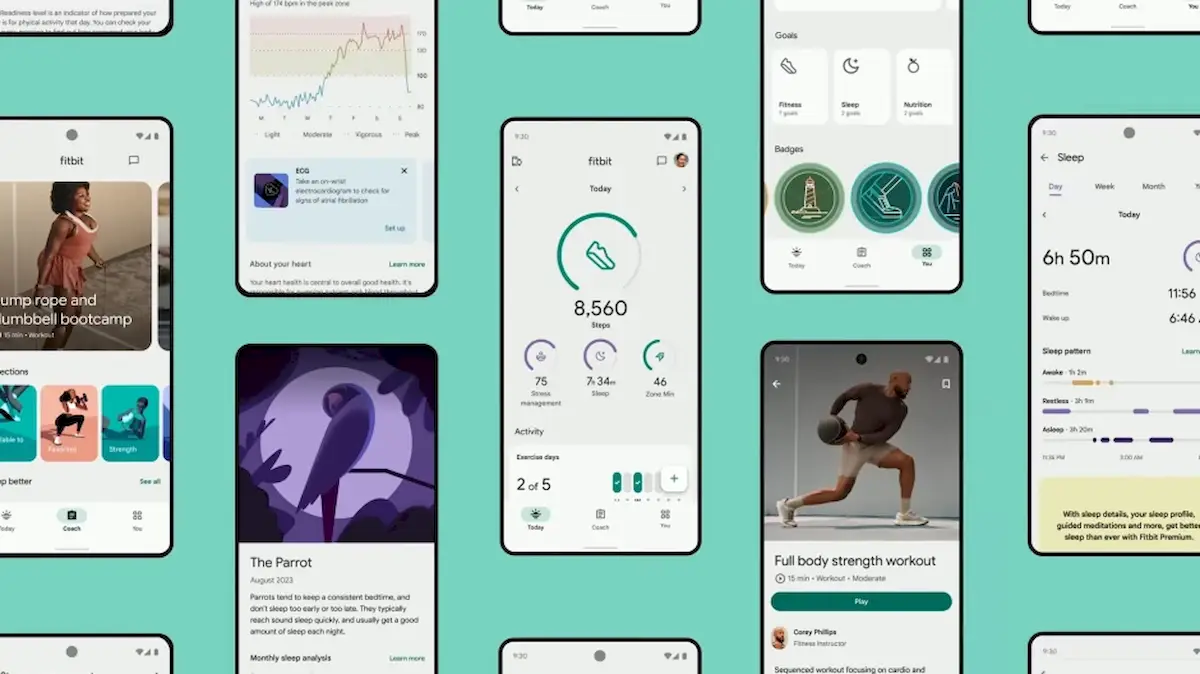 App Android Fitbit traz um live wallpaper e um widget redesenhado