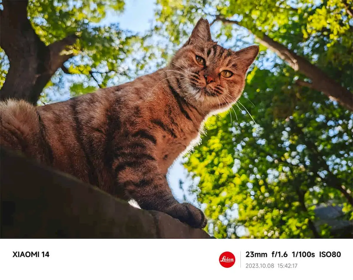 Xiaomi revelou oficialmente o design do Xiaomi 14 10 Amostra de foto