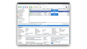Como instalar o torrent TrguiNG no Linux via Flatpak