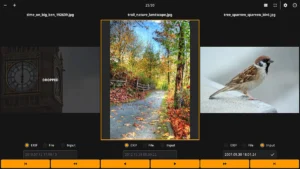 Como instalar o visualizador de imagens Pixyne no Linux via Flatpak