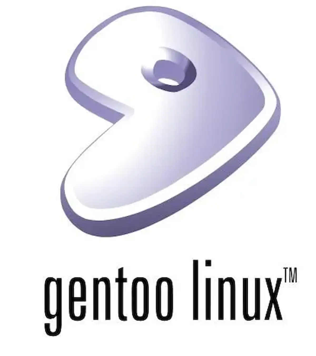 Gentoo já suporta pacotes binários para instalação direta