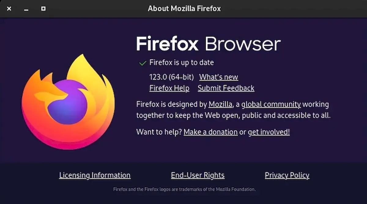 Firefox 123 já está disponível para download
