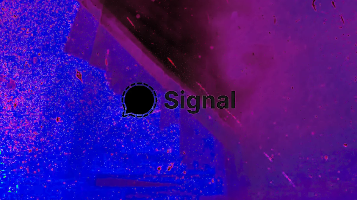 Signal agora permite ocultar o número do telefone usando nomes