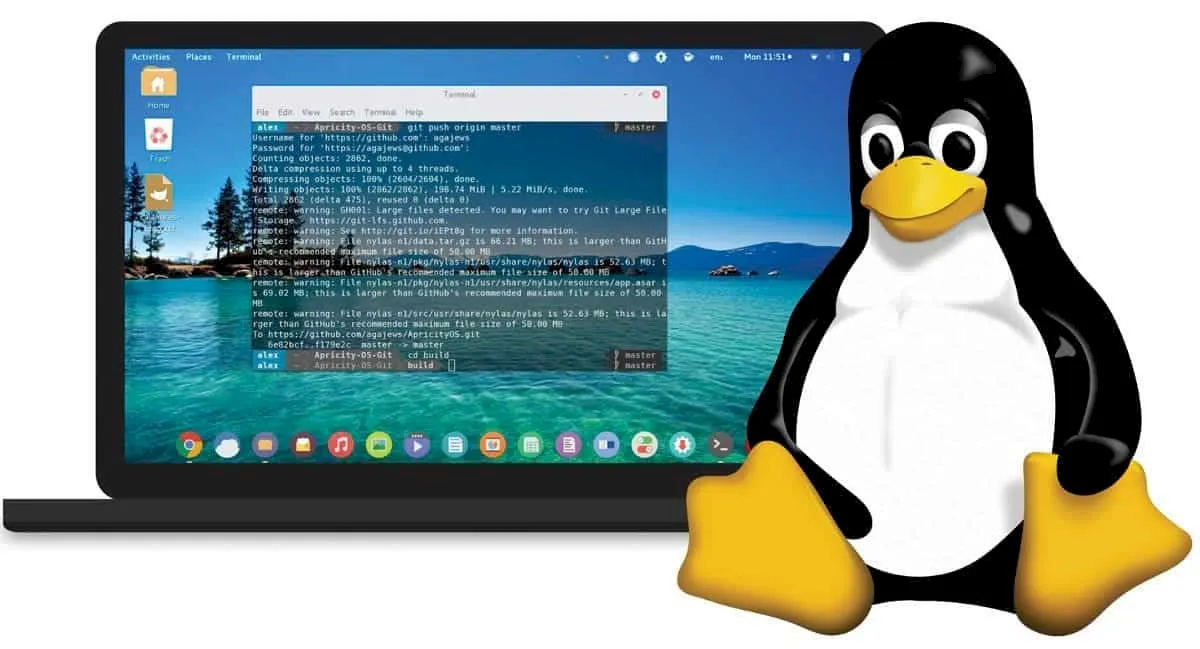 Linux ultrapassou os 4% de participação de mercado