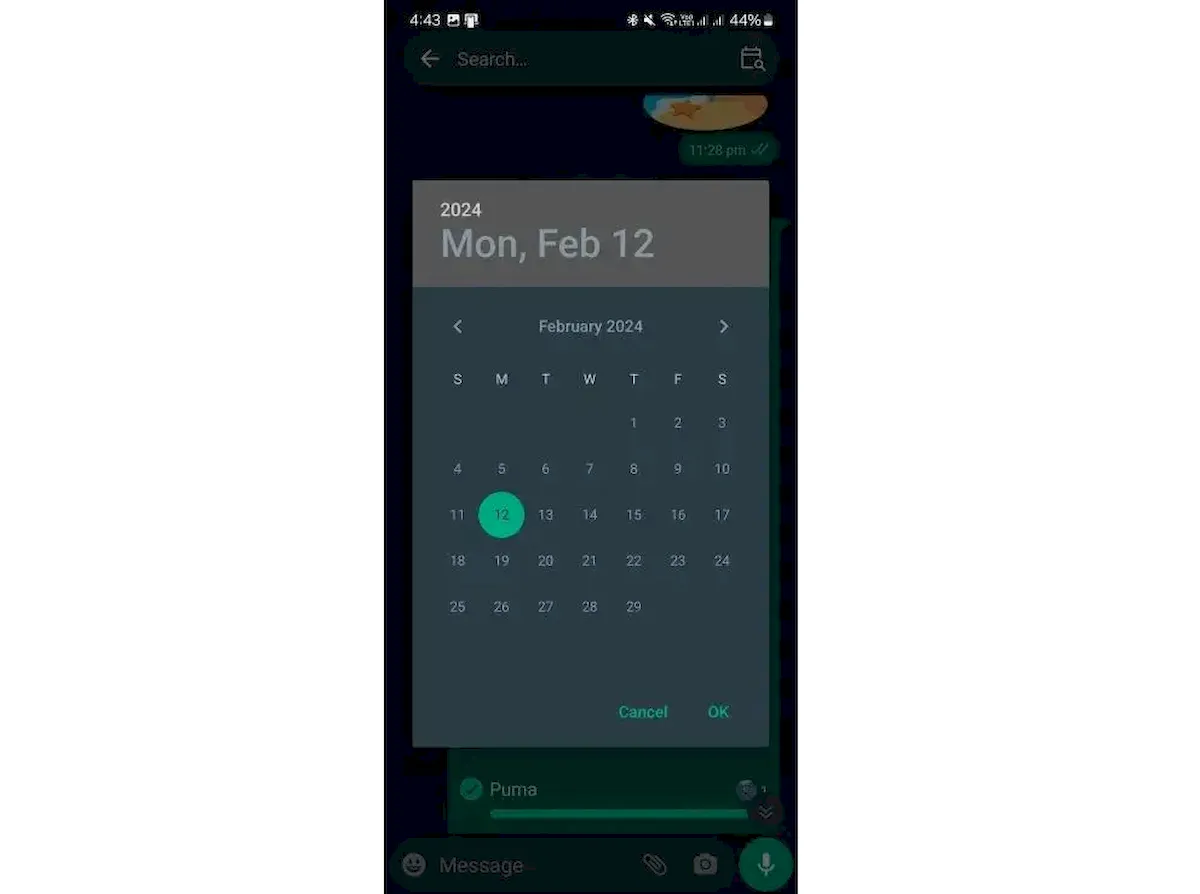 Novo filtro de pesquisa chegou ao WhatsApp para Android