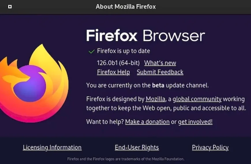 Firefox 126 beta lançado com nova limpeza de dados do usuário
