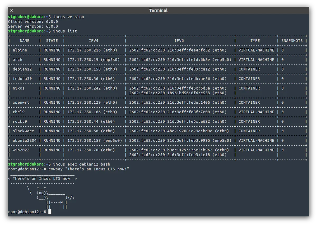 Incus 6 LTS lançado com base no LXD 6