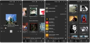 Como instalar o reprodutor de áudio Euterpe no Linux via Flatpak