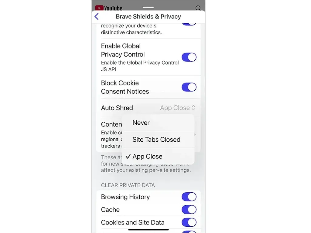 Brave no iOS agora permite para limpar dados específicos de site 4 Brave no iOS agora permite para limpar dados específicos de site