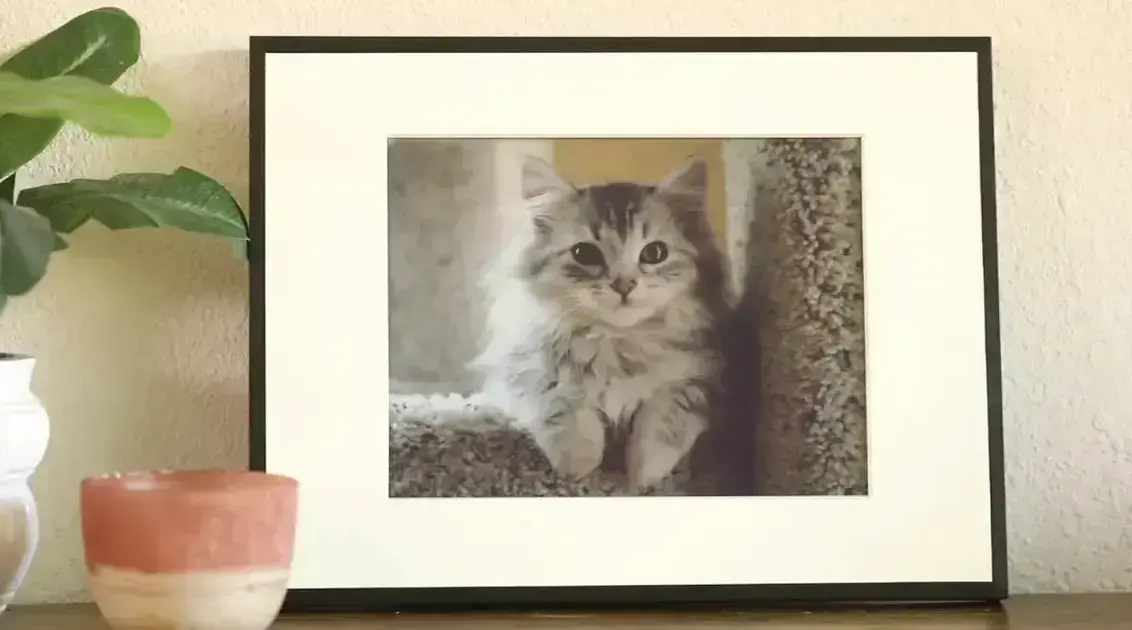 Reflection Frame: O Quadro Digital E Ink Spectra 6 Mais Barato