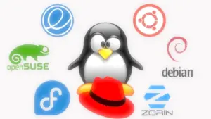Melhores Distros para Começar no Linux