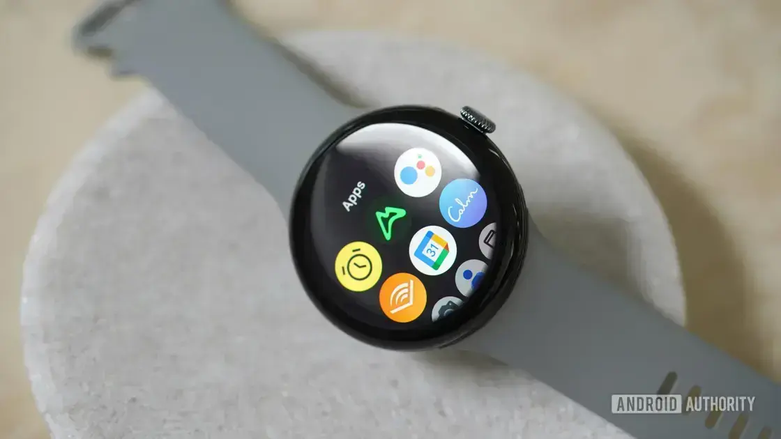 Atualizações do Pixel Watch: o que você precisa saber para 2025