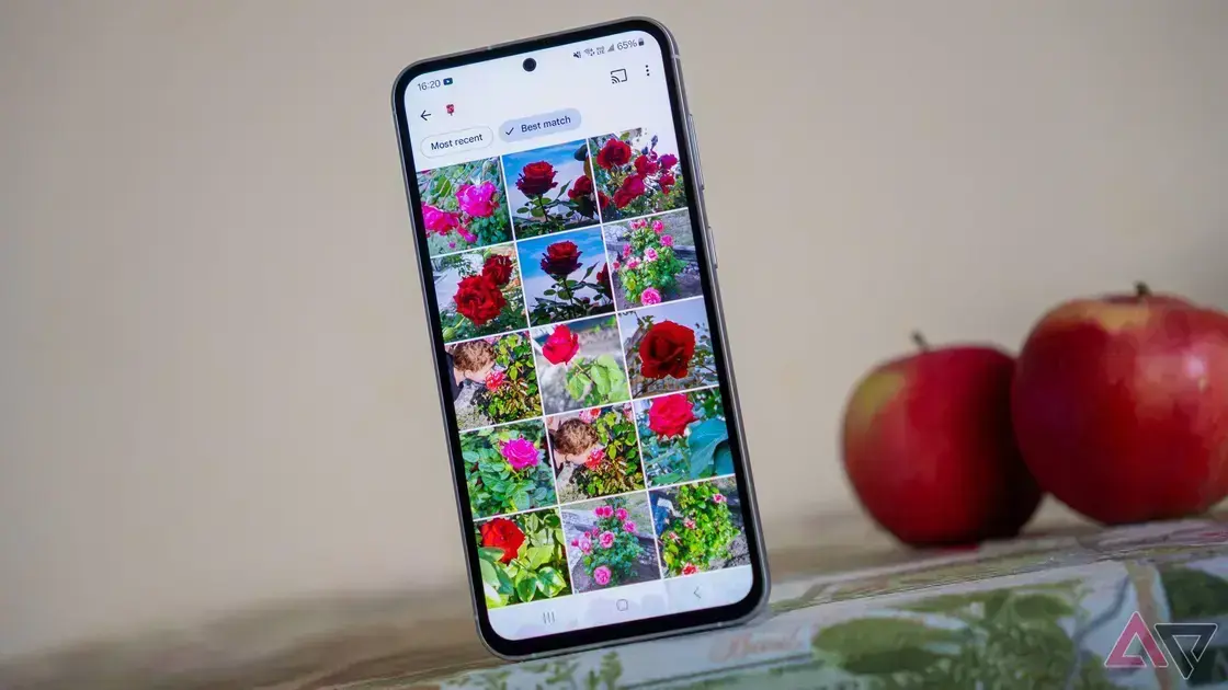 7 Alternativas ao Google Photos para um Armazenamento de Fotos Seguro