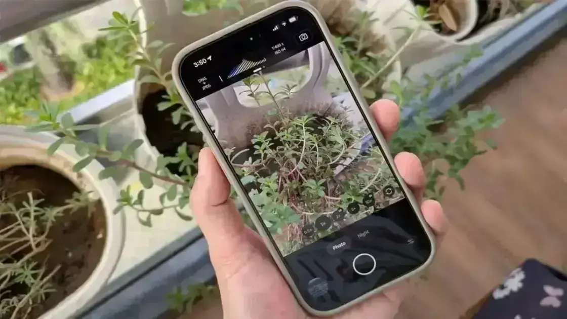 Adobe lança o Project Indigo: um novo app de câmera para iPhone
