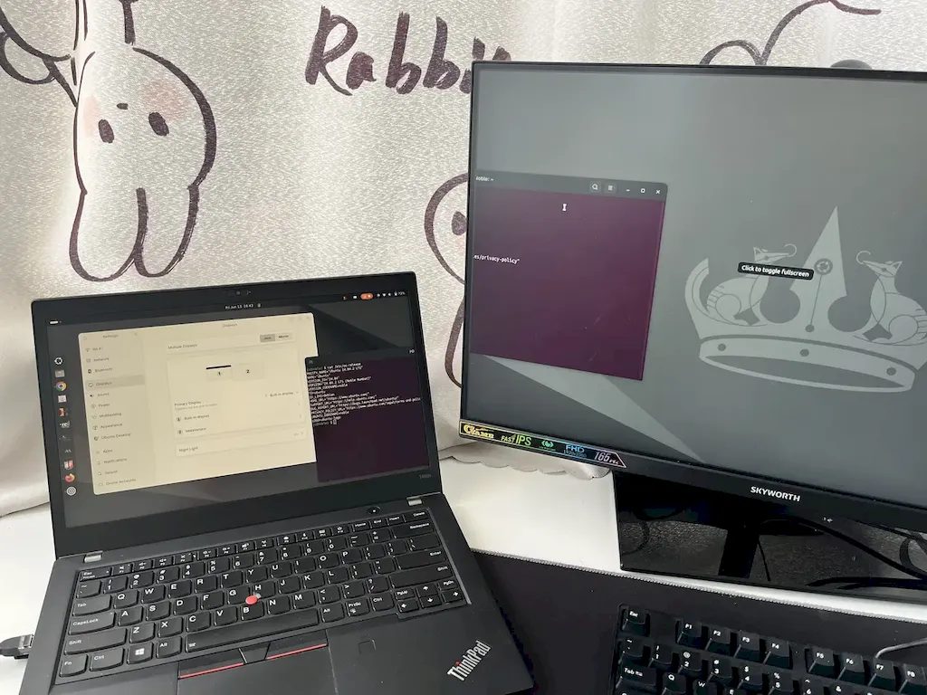 Mirror Hall: app para transformar sua tela Linux em segundo monitor com um clique