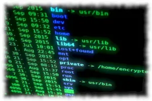 Aprenda 15 comandos essenciais para dominar o terminal Linux