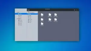 Como acessar o diretório root no gerenciador de arquivos Nautilus