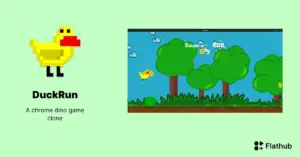 DuckRun: Um Jogo Divertido e Atraente Para Linux