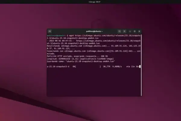 Mudança significativa: wget sai do Ubuntu Server 25.10 em favor de wcurl