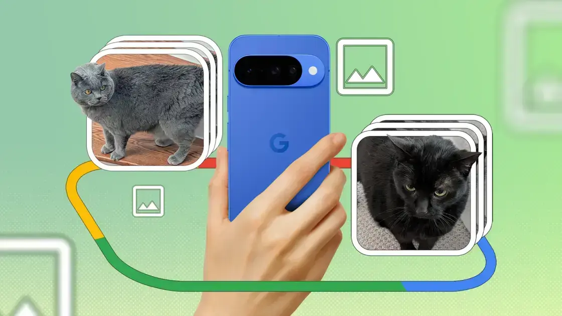 Descubra o que o Google Pixel 10 aprendeu com 100 fotos de gatos