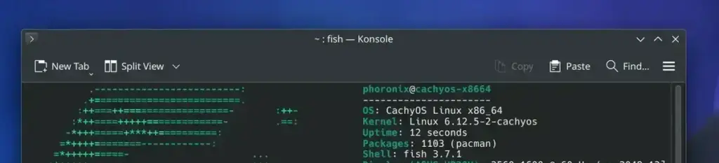 Lançamento do Fish Shell 4.0.6: Melhorias e Correções Importantes