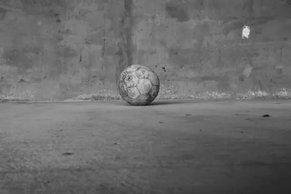 O Botafogo de Garrincha: o time que encantou o mundo