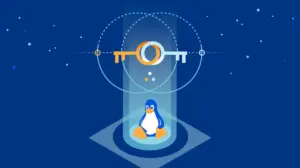 O que têm em comum as criptomoedas digitais e o famoso sistema Linux hoje?