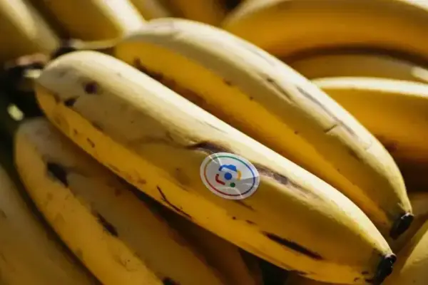 Google Messages pode receber o recurso AI "Nano Banana" para gerar imagens