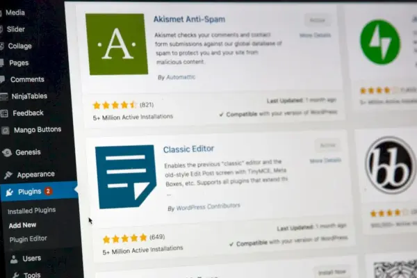 Guia Completo para Entender e Usar Plugins no WordPress